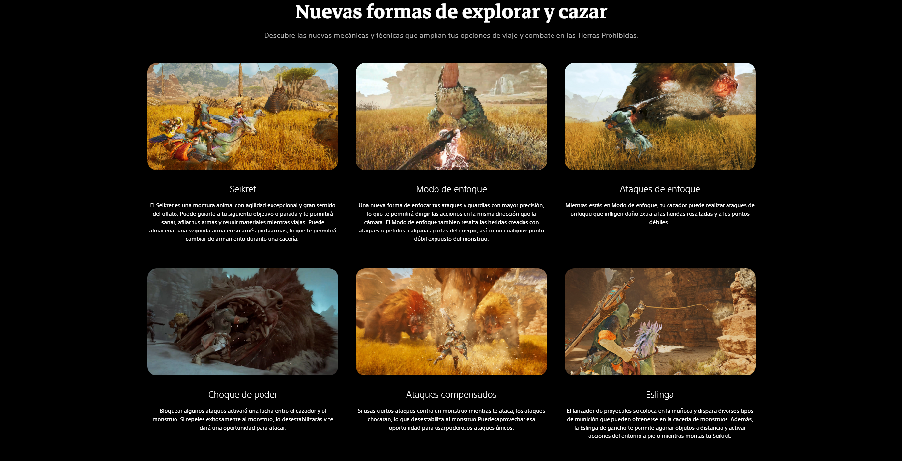 Footer Image 1