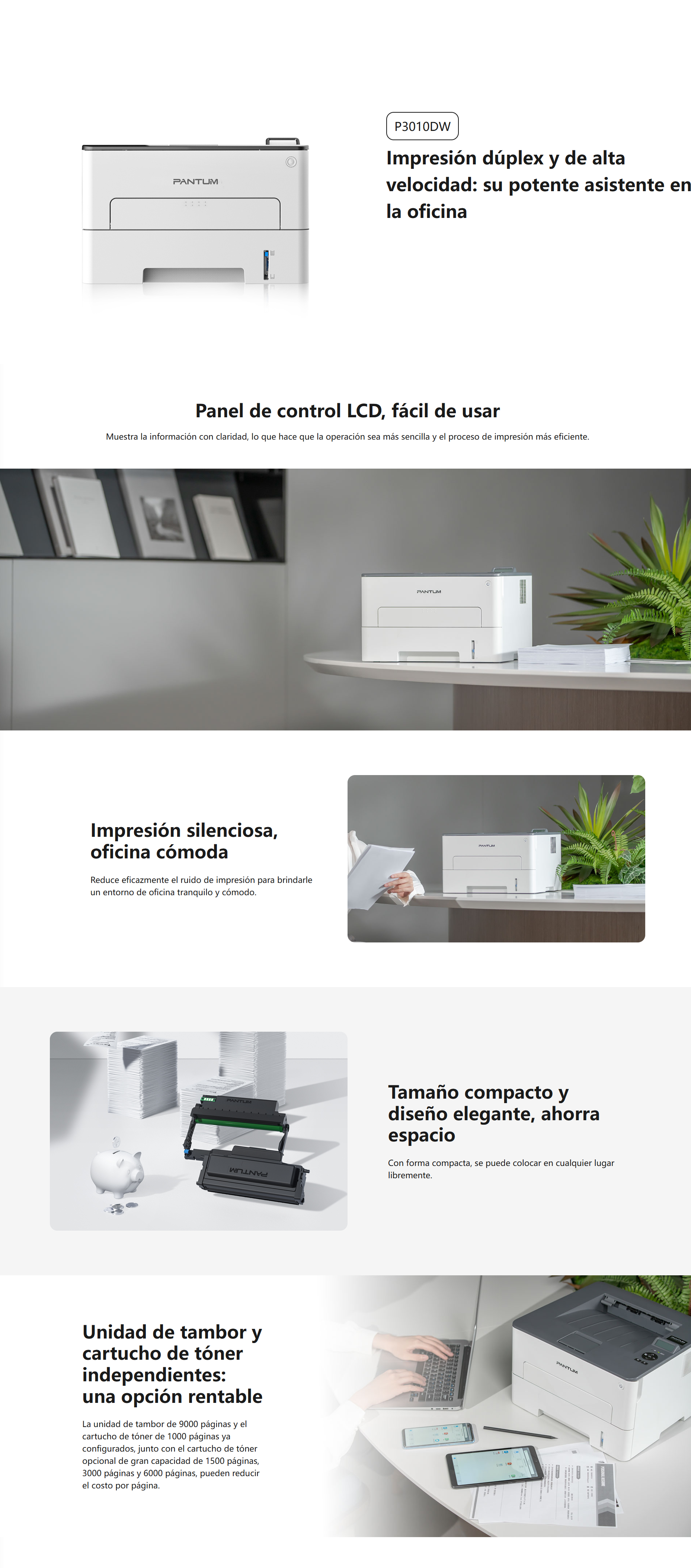 Pantum P3010DW 